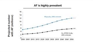 Rate vs. Rhythm Control in AF