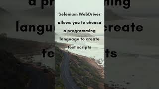 What is SELENIUM WebDriver? Interview Question & Answers | #script #testing #selenium #collaboration