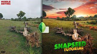 Make Your Mobile Pictures go Viral with These Editing Tricks | Snapseed Tutorial | Android | iPhone