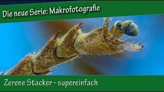 Makrofotografie: 20. Zerene Stacker - supereinfach