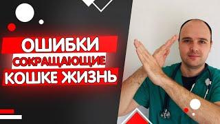 4 Ошибки Сокращающие Жизнь Вашей Кошки