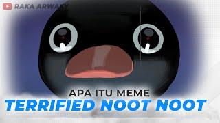 Apa Itu Meme Pingu Terrified Noot Noot