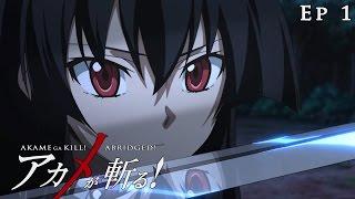 Akame ga Kill! Abridged! - Episode 1