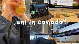 life in canada | library study vlog, uni life, law library