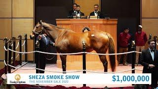 Sheza Smoke Show sells for $1,000,000 at The November Sale (2022)
