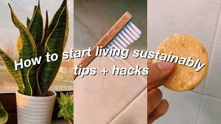 SUSTAINABLE LIFE HACKS | tips to start living sustainably