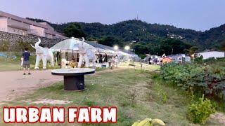 MACAU URBAN FARM TOUR PART 1