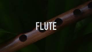 Future Type Beat - "FLUTE"