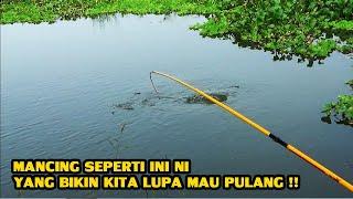 SURGANYA PEMANCING !!! Ikan DIsini Sangat Melimpah Sampai lupa Mau Pulang Kampung