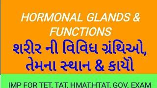 Hormonal glands & their functions in Gujarati language