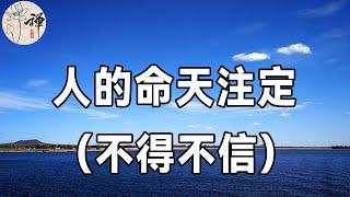 佛禪：人該不該信命？人這一生，皆有定數！萬事萬物，冥冥之中自有安排，你不得不信