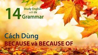 Văn Phạm 14: Cách Dùng BECAUSE & BECAUSE OF