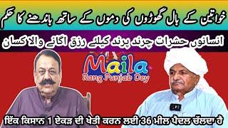 Punjab, a land marvellous & full of love traditions |  Maila Tv  |  Dr javed Akram