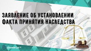 Заявление об установлении факта принятия наследства