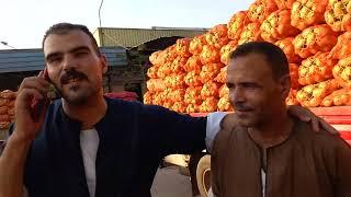 اخر اسعار البصل والبطاطس والطماطم فى سوق العبور شاهد اخر تحديث للاسعار،
