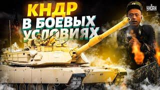  Дерзкие корейцы vs танки ВСУ. Видео легендарной схватки у Курска. КНДР в боевых условиях