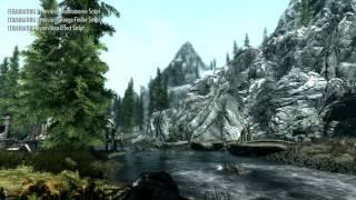 DYNAVISION: Dynamic Depth of Field (Skyrim Edition) update v1.4