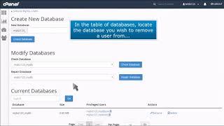 cPanel: How to Remove a User From a MySQL Database