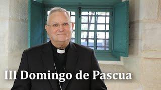  III DOMINGO DE PASCUA - Reflexión del obispo de Cartagena