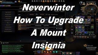 Neverwinter How To Upgrade Mount Insignia PC, XBox, PS4