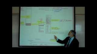 HEMATOLOGY; PART 1 by Professor Fink.wmv