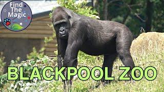 Blackpool Zoo Animals Tour 2023