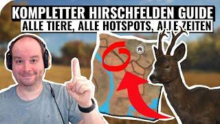 Kompletter Hirschfelden Guide, alle Tier, alle Hotspots, alle Zeiten! || theHunter Call of the Wild