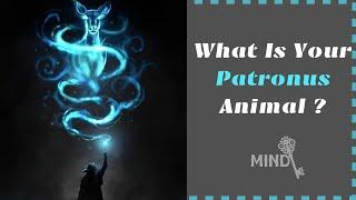 What Is Your Patronus Animal ?? | Harry Potter Quiz |