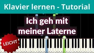 Ich geh mit meiner Laterne | Klavier lernen leichte Kinderlieder Piano Tutorial  Felicitas Falke 