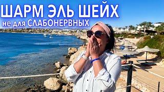 Египет 2022. Отдых не для СЛАБОНЕРВНЫХ! Шарм Эль Шейх отель Siva Sharm. Шарм Эль Шейх 2022