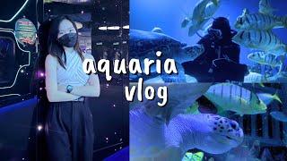 AQUARIA VLOG | experience, instagram tips, klcc 