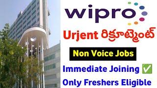 Wipro Latest Jobs Telugu 2024 | Wipro Latest Jobs In Hyderabad | Wipro Walk In Drive Hyderabad