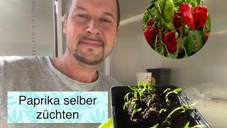 Paprika | selber züchten | Vom Samen zur Pflanze | Selbstversorger | Green | Garden