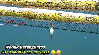 PANTAS ADA IKANNYA BABON DI TENGAH BELUM TERJAMAH || mancing ikan red devil