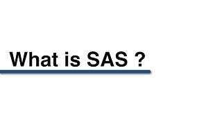 What is SAS