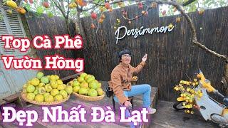 Đà Lạt Top Quán Cà Phê Vườn Hồng Đẹp Nhất Nên Ghé Một Lần