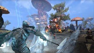 ESO Live - Gameplay Balance Discussion & Warden Class Preview (Morrowind)