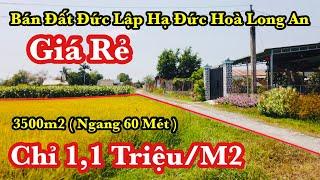 Bán Đất Đất Đức Lập Hạ Đức Hoà LONG An Giá Rẻ | 3500m2 ( Ngang 60 Mét ) Chỉ 1,1 Triệu/M2