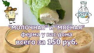 # Как приготовить соевые фарш, Тофу и молоко, потратив 150 руб. Вся ли соя ГМО?