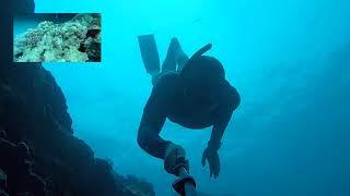 Magic Sands Beach - Cave Diving - Mark follows Steffen - Arch to Skylight 1