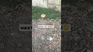 Palestine people are dying because of shortage of food: RIP food waste#food#viral#shorts#palestine