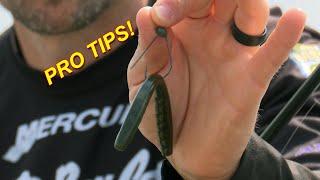 Summer Wacky Rig Worm (Catch 10x MORE Bass!) | Bass Fishing