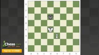 Chess Endgames: King and Pawn vs King 2