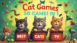 CAT GAMES  Bug Chase  Interactive | Video Game for Cats to Watch & Play