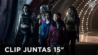 AVES DE PRESA - Juntas 15' - Warner Bros Pictures Latinoamerica