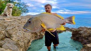 These Fish Have Never Seen Humans