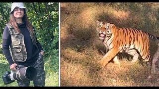 Raveena Tandon reacts on probe over 'tiger video', says forest dept's jeep was on track