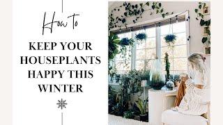 Tips to keep your plants growing all winter!