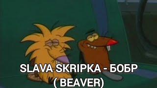 SLAVA SKRIPKA - БОБР ( BEAVER) / LYRICS / ТЕКСТ ПЕСНИ