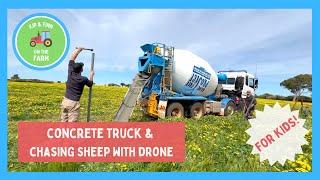 Concrete Truck Working & Drone Chasing Sheep | Educational Kids Farm Videos